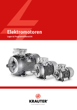 Prospekt Elektromotoren Lieferübersicht