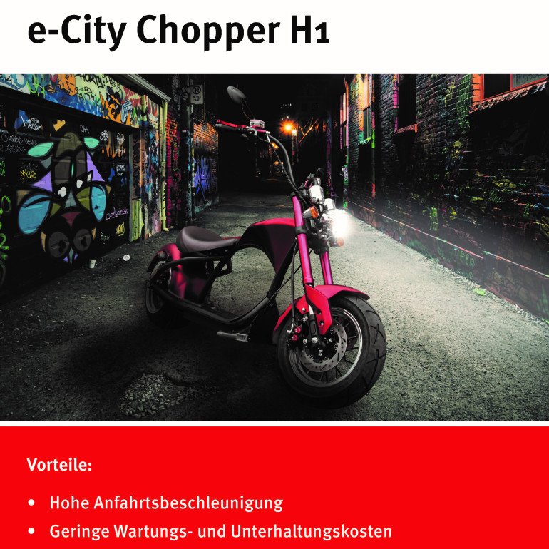 2 eChopper Kurzbeschreibung